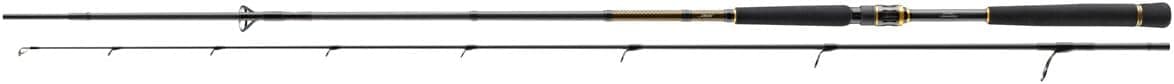 Daiwa Morethan Branzino AGS