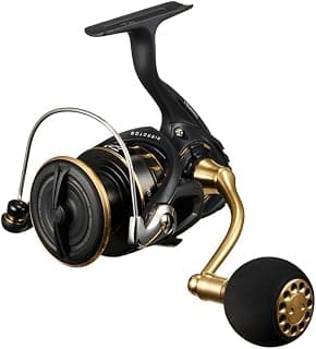 DAIWA Carrete Giratorio 23BG SW 4000-18000 Varios (Modelo 2023)