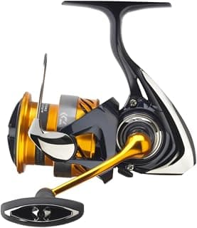 Daiwa Revros LT - Carrete de Pesca para Lagos y ríos, tamaño 1000-6000